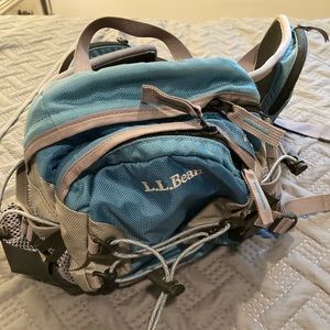 L.L. Bean Trail 300 Waist Fanny Lumbar Pack
